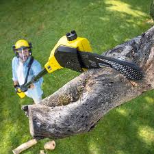 Trusted Green Island, NY Tree Removal and Landscaping Services Experts